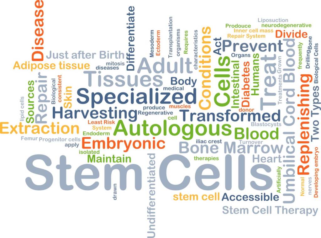 Stem Cell Therapy:  Pro-Life or Anti-Life  June 2020