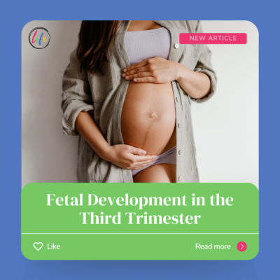 Fetal Development in the Third Trimester