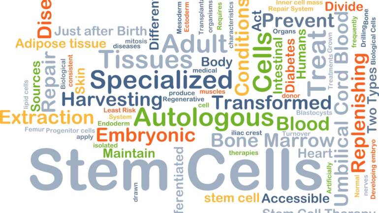 Stem Cell Therapy:  Pro-Life or Anti-Life <br> June 2020