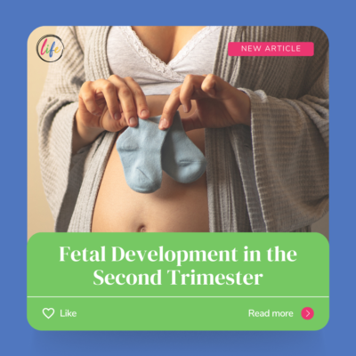 Second Trimester - WDLB - 01252024